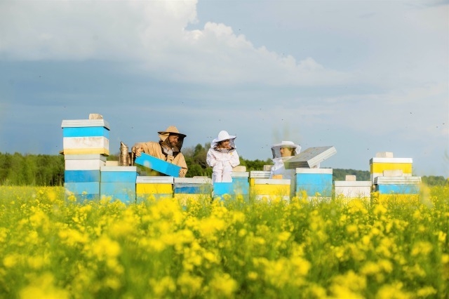 安心・安全 7つのお約束