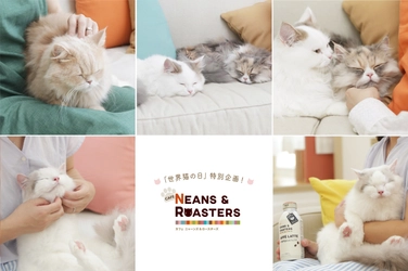 8月8日「世界猫の日」は、猫とほっこり癒される1日に！ “ＢＥＡＮＳ ＆ ＲＯＡＳＴＥＲＳ”×世界猫の日 ＝“ＮＥＡＮＳ ＆ ＲＯＡＳＴＥＲＳ” 8通りの猫の癒し方を教えてくれる 「＃ほっこりニャレンジ」動画公開！