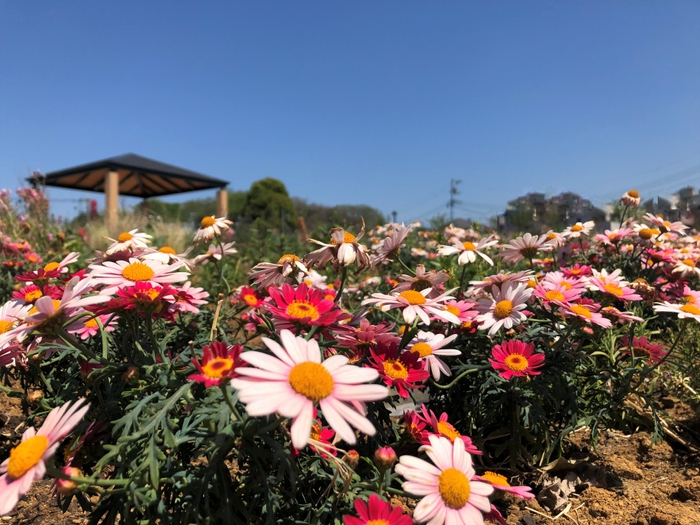  GWの5月3日（水・祝）には、開園記念イベントを開催します。ぜひご来園ください！