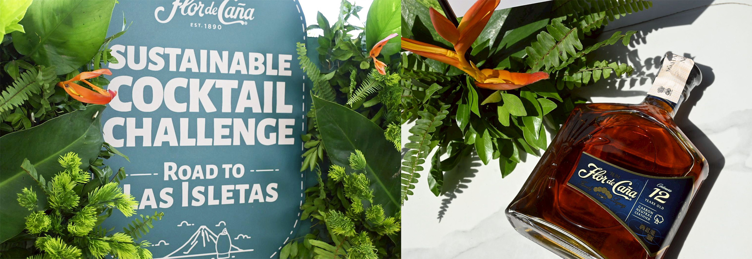 SCC2025アジア大会