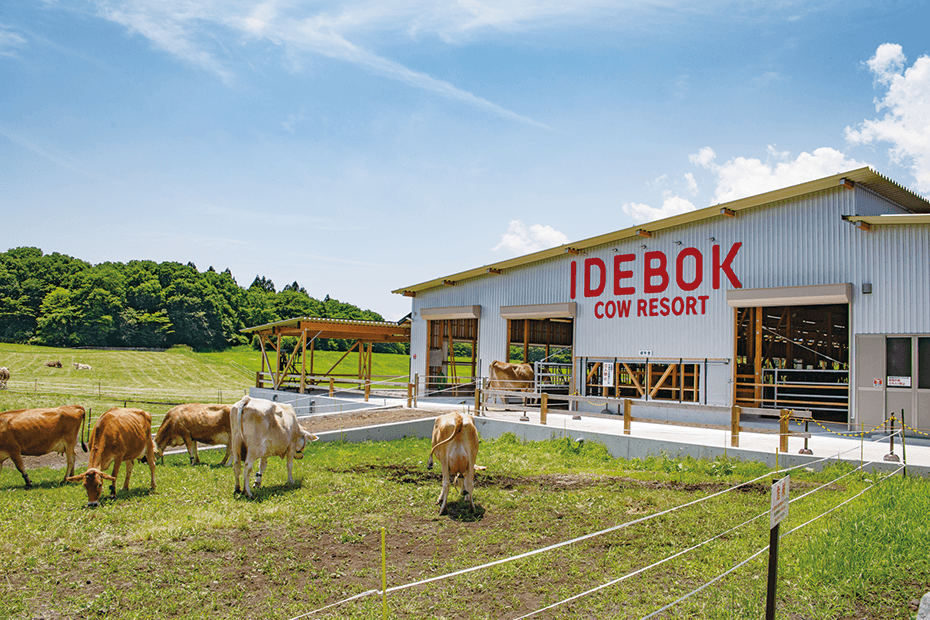 COW RESORT IDEBOK 外観