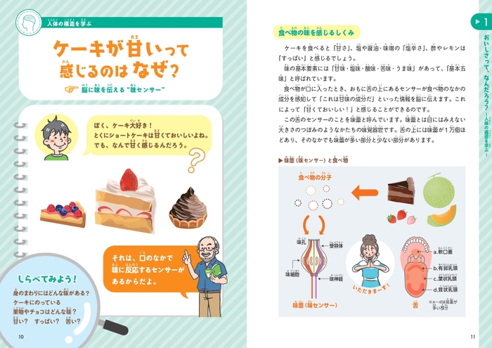 ケーキが甘いって感じるのはなぜ？