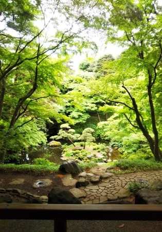 殿ヶ谷戸庭園の眺め