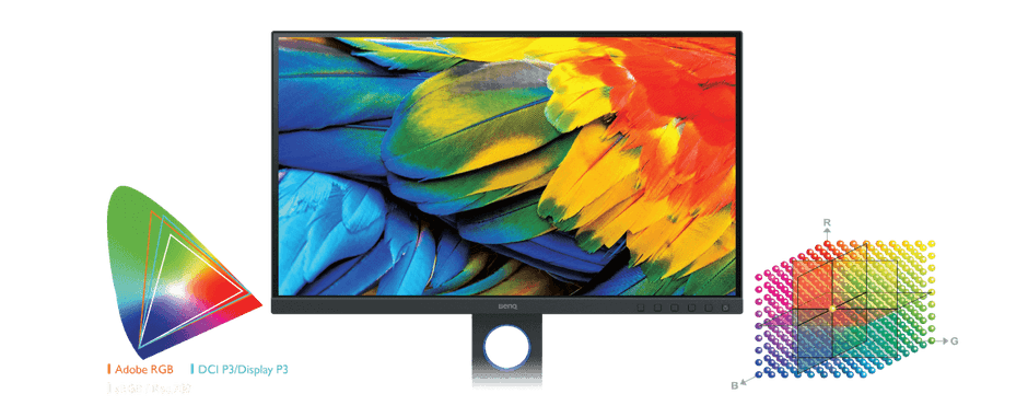 Adobe RGB 99%、Display P3 / DCI-P3 90%、sRGB / Rec.709 100% カバーの広色域