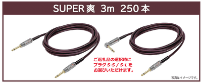 リターン・【SUPER爽】3m:ご支援金12,000円