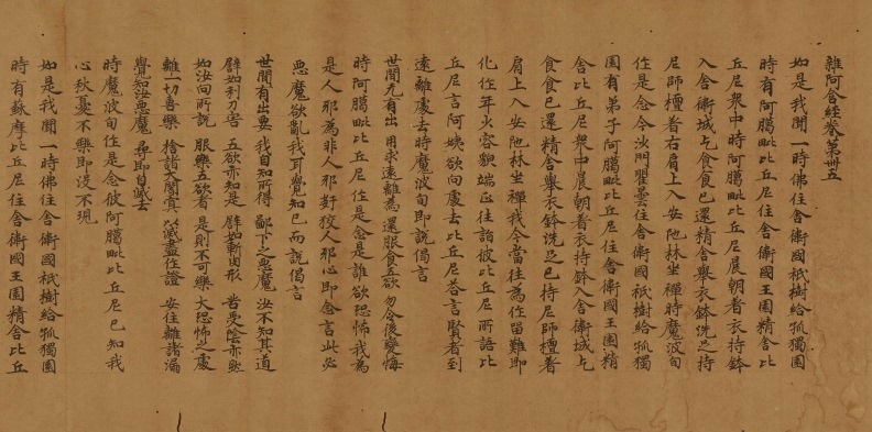 重要美術品 雑阿含経 巻第四十五(天平十五年五月十一日光明皇后願経)(部分) 奈良時代・天平15年(743) 東京国立博物館蔵