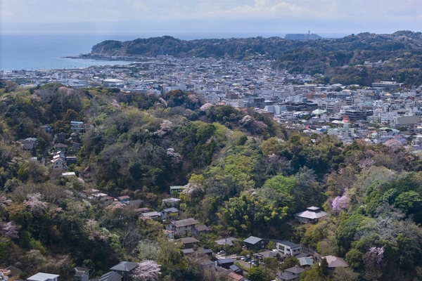 ■鎌倉の高台にある自然豊かな環境