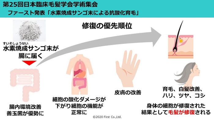 図表1：水素焼成サンゴ末による毛髪改善ステップ(事業者様向けスライド資料の一部)