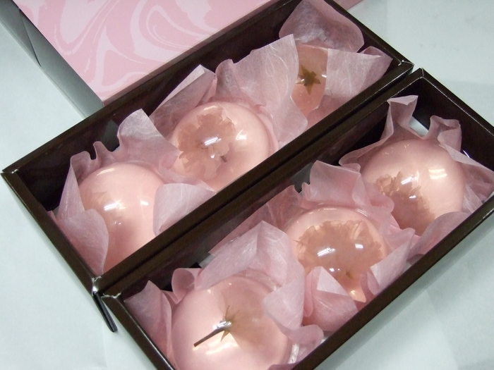 桜咲く さくらゼリー(R)6個入