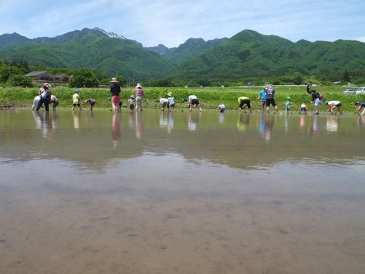 山梨県白州町で農業体験イベントを6月2日から全14回開催　 地元農家の全面協力で農業を通し子供達の成長にも貢献