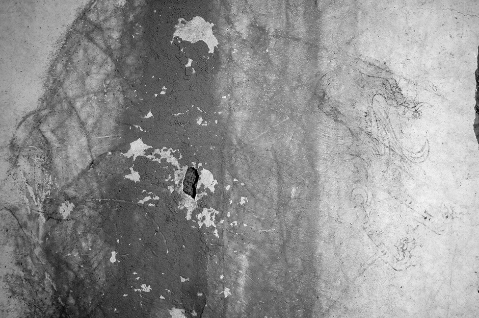 【画像4】青龍図像の赤外線写真（880nm）2004年7 月