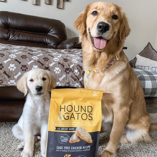 ハウンド＆ガトス2