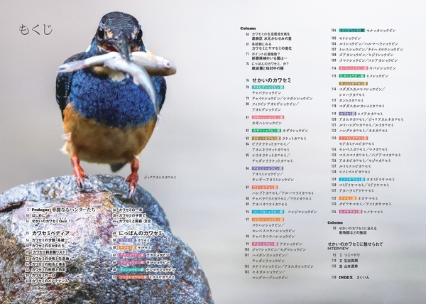 『せかいのカワセミ』もくじ