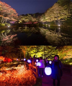 (上)昨年の園内の様子 (下)Glow with Night Garden Project in Rokko 提灯行列ランドスケープ 2016