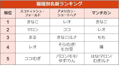 猫の名前ランキング2019（猫種別）