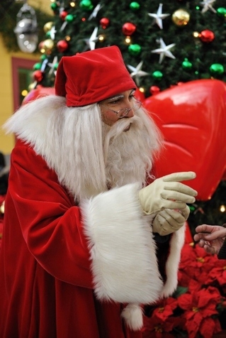 サンタクロースグリーティング(イメージ)