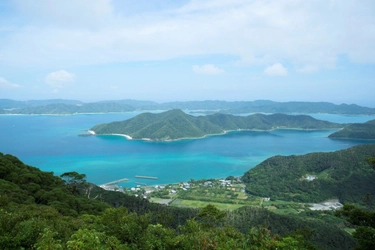 奄美大島のアンテナショップが東京・吉祥寺に9月1日オープン！ 　隈研吾事務所が設計した店内で特産品・伝統が楽しめる