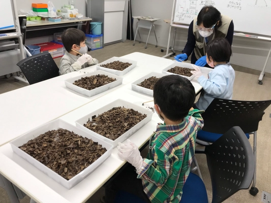 「早稲田こどもフィールドサイエンス教室」が 無料体験教室・説明会を1月16日(日)より開催