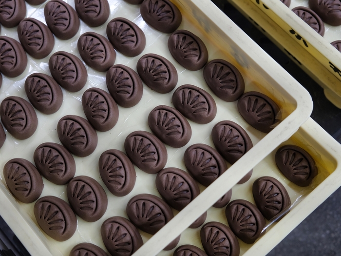 雨の島と晴れの国の共同プロジェクト(南国ショコラーノ)