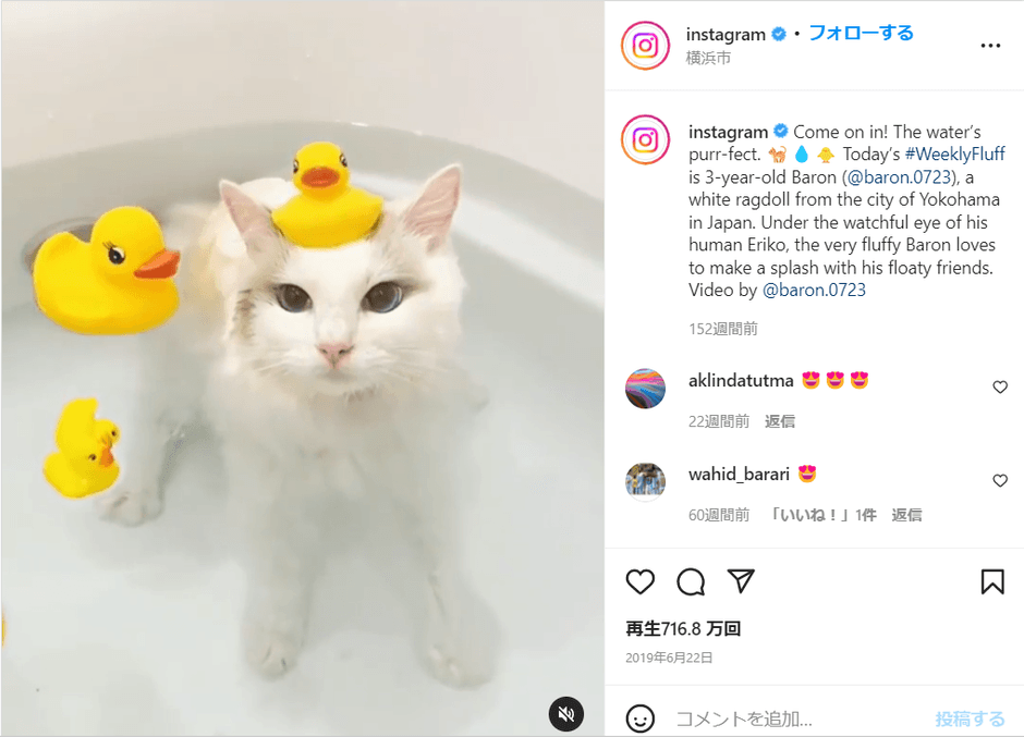 インスタで700万以上のイイね!