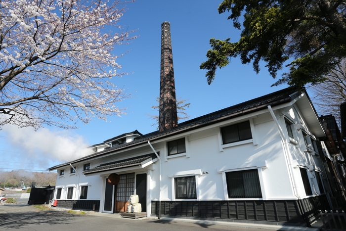 桜と田村酒造場