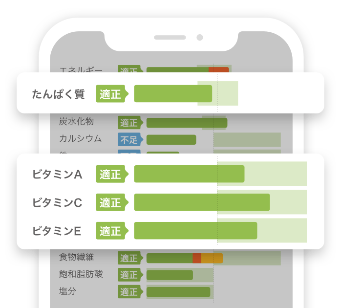 栄養素フォーカス