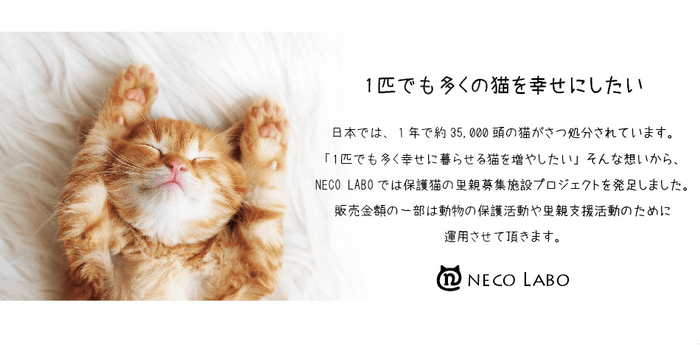 NECO LABOについて