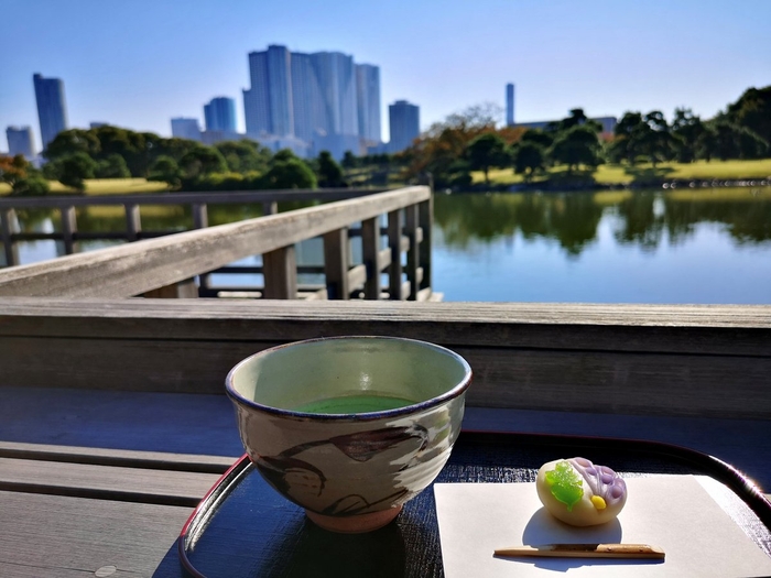 抹茶のご提供