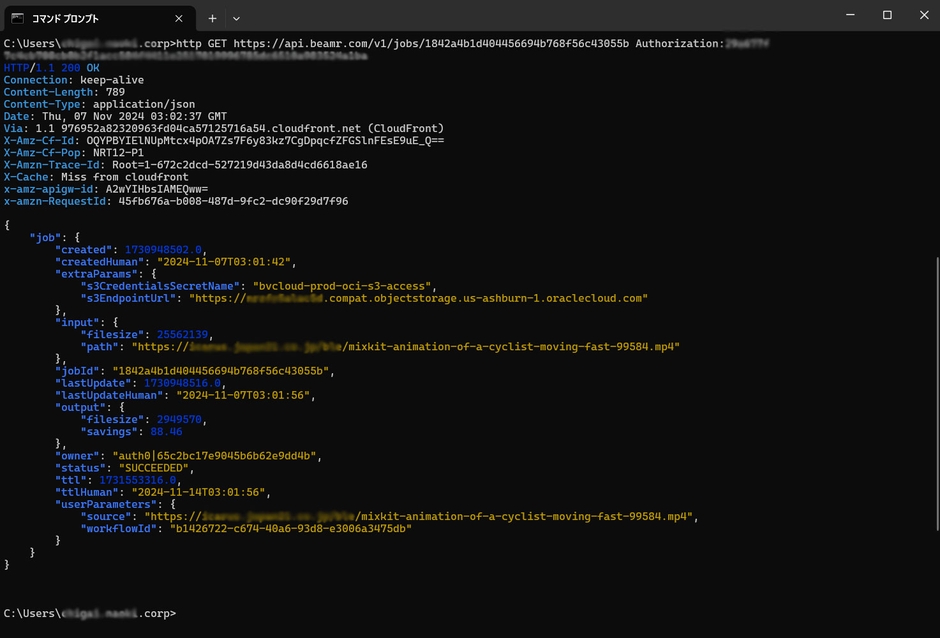 展示イメージ1:コマンドラインによるAPI操作