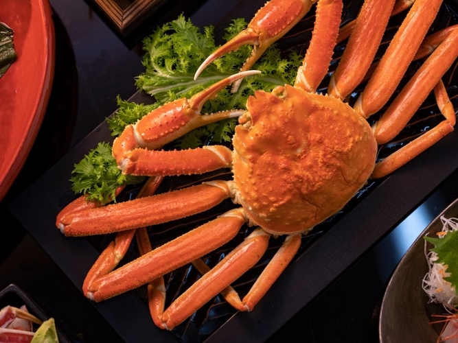 ボイルガニ/一例