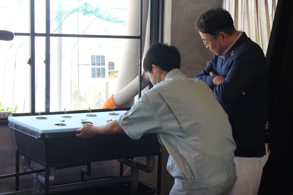 野菜の育ち具合を見る山本准教授