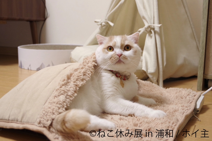 展示作品8