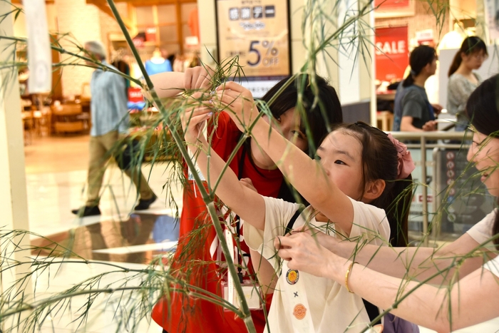 笹に願いを書いた短冊を取り付け