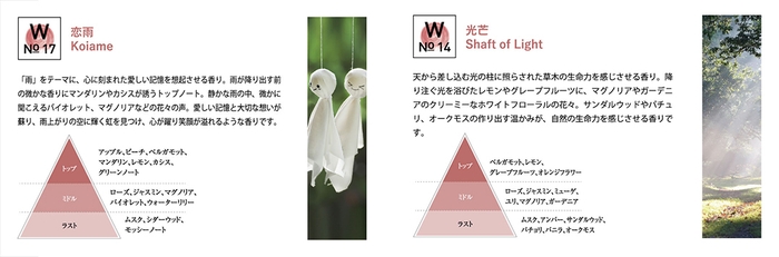 恋雨・光芒の香りについて