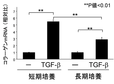 図2