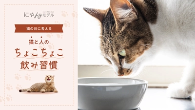 猫の日に考える「猫と人のちょこちょこ飲み習慣」 ～コスモウォーター×フェリシモ「猫部」コラボキャンペーン実施～