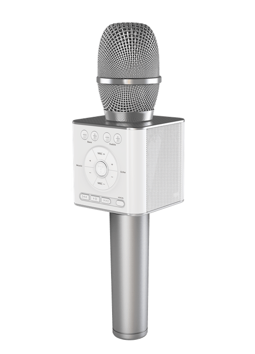 GP-BTDMIC/S(シルバー)