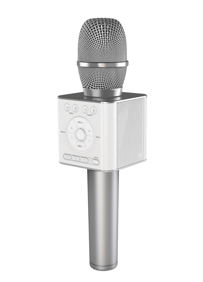 GP-BTDMIC/S(シルバー)