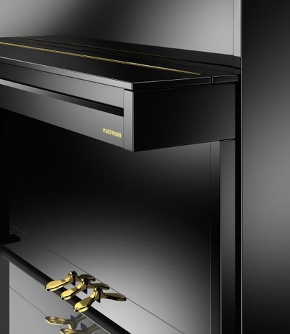 W.ホフマン  Vision V2　(3) 