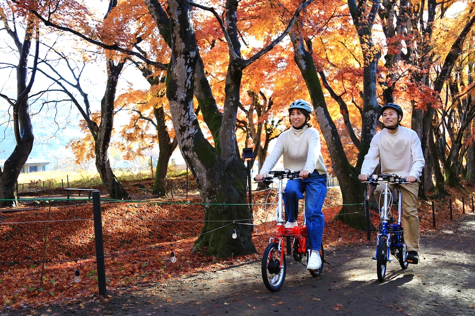 FIAT 500 AL-FDB163S-E_image3