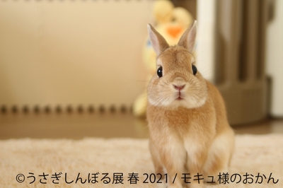展示作品9