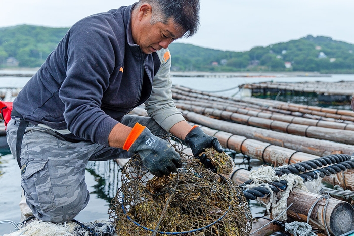 山に囲まれる養殖イカダと漁師