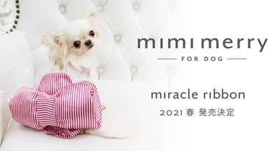 特許申請中の日本製　犬用ラグジュアリードレス 「mimimerry(ミミーメリー)」新作ドレスのモデル犬を大募集！！