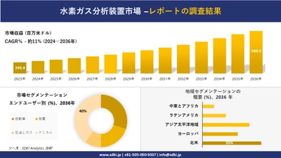 水素ガス分析装置市場の発展、傾向、需要、成長分析および予測2024ー2036年