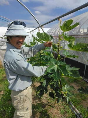 コロナ禍で遊べなかった子供達の「体験格差」解消のために 徳島の和菓子屋 岡萬商店が体験型イベントを8/24・25に開催！