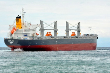 Completes and Delivers the Group&#8217;s 2nd “TESS35” Bulk Carrier～TSUNEISHI HEAVY INDUSTRIES (Cebu), Inc. in Philippines