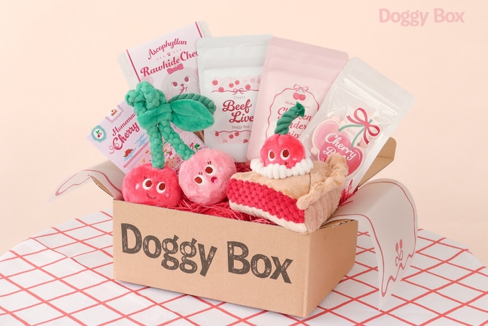 Doggy Box ※イメージ(一箱での特典はゆとりろ雫石/くにさき森と海のドッグリゾート対象)