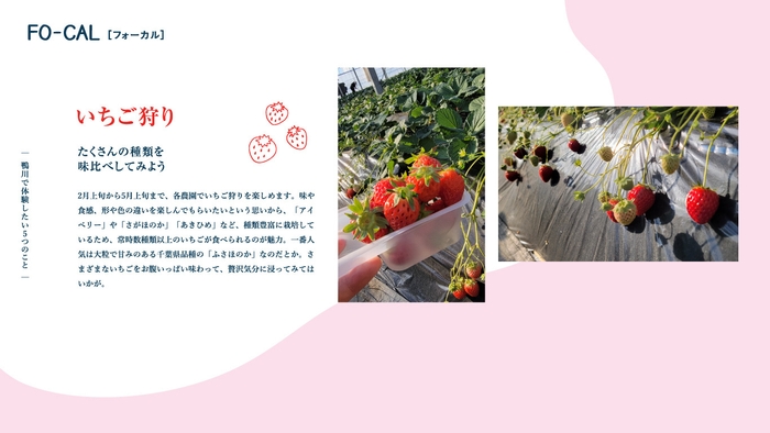 「旅色FO-CAL」鴨川市特集:体験