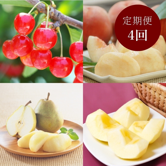 フルーツ王国・寒河江より 旬のフルーツ定期便 全4回(2024年6月~2024年11月出荷予定)