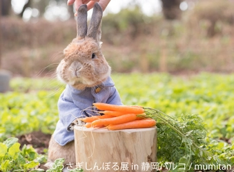 ピーターラビット×うさぎしんぼる展、夢のコラボ！ 初上陸・静岡パルコで限定企画・グッズを揃えて4/20～5/13開催